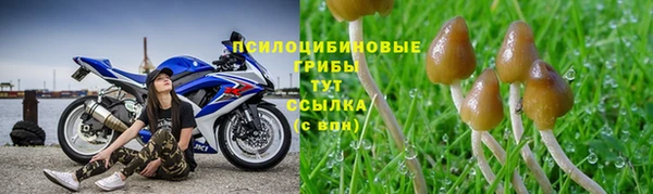 амф Протвино