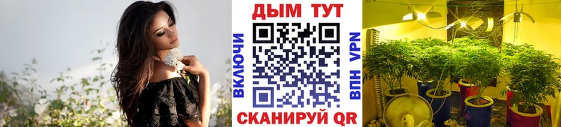 закладка  Кимры  Конопля VHQ 
